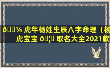 🐼 虎年杨姓生辰八字命理（杨姓虎宝宝 🦍 取名大全2021款）